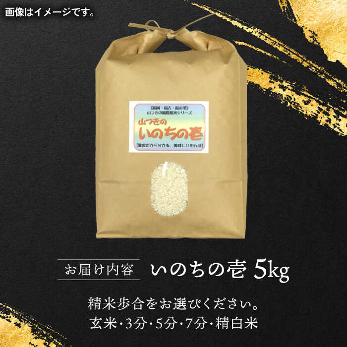 米 白米 玄米 分搗き 稀少 いのちの壱 ご飯 山付き 山つき お米 ごはん　【ふるさと納税】【玄米・分搗き対応】稀少品種「いのちの壱」5kg 糸島市 / 二丈赤米産直センター 米 白米 玄米 [ABB028]1万7千円17000円