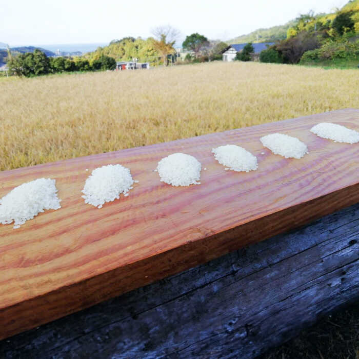 【ふるさと納税】【全6回定期便】山つきの減農薬米6品種食べ比べ・5kg×6回（毎月1回）コース　糸島市 / 二丈赤米産直センター 米 白米 無洗米 [ABB029] 91000円 9万1千円 3