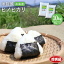 米旋風 ヒノヒカリ 10kg（5kg×2）《糸島》 常温 18000円