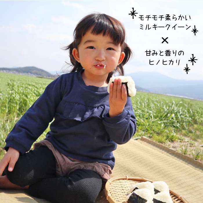 【ふるさと納税】【令和8年産 新米】 米 旋風 贅沢 ブレンド 5kg 《糸島》【百笑屋】 [ABF005] 米 お米 白米 精米 ひのひかり ヒノヒカリ ミルキークイーン ミルキークィーン常温1万6千円16000円 f402303-itoshima-10001487 福岡県糸島市 サンプル画像2