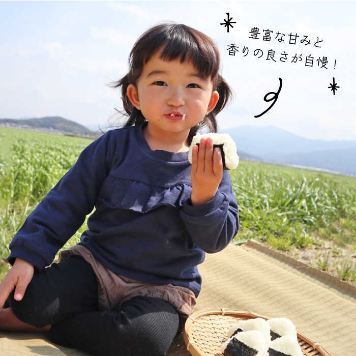 【ふるさと納税】【 全3回 定期便 】米 旋風 ヒノヒカリ 5kg 《糸島》【百笑屋】[ABF020] 米 お米 白米 精米 定期便 ひのひかり常温4万6千円46000円 f402303-itoshima-10002938 福岡県糸島市 サンプル画像2