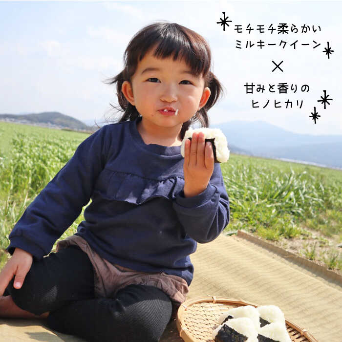 【ふるさと納税】【 全6回 定期便 】米 旋風 贅沢 ブレンド 米 5kg 《糸島》【百笑屋】 [ABF027] 米 お米 白米 精米 定期便 ミルキークイーン ヒノヒカリ常温9万4千円94000円 f402303-itoshima-10002945 福岡県糸島市 サンプル画像2