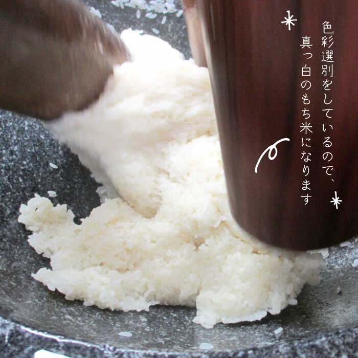 福井県池田町産 こしひかり 5Kg [取り寄せ]