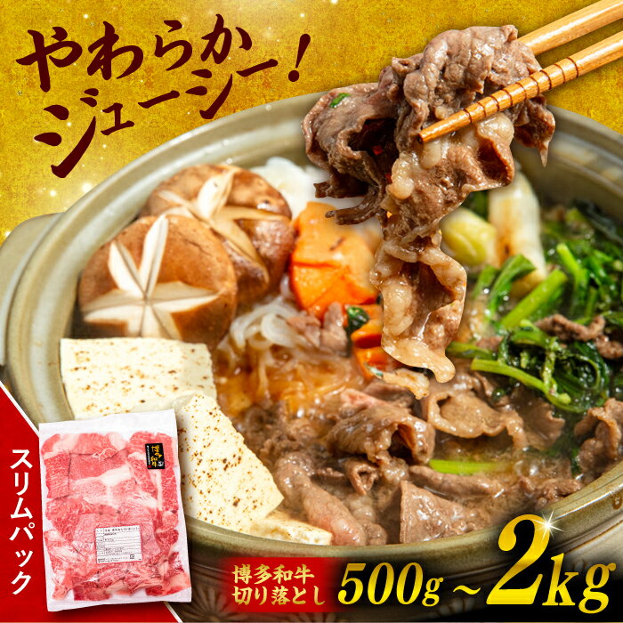 【ふるさと納税】博多和牛切り落とし500g 糸島市 幸栄物産 [ABH002] 6000円 6千円のサムネイル