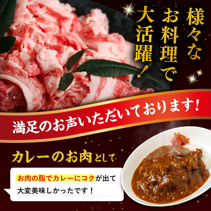 【ふるさと納税】【全3回定期便】博多和牛 切り落とし 1kg （500g×2P）糸島市 / 幸栄物産 [ABH014] 黒毛和牛 冷凍配送 牛肉 肉 スライス 薄切り 小分け4万8千円48000円 f402303-itoshima-10002972 福岡県糸島市 サンプル画像3