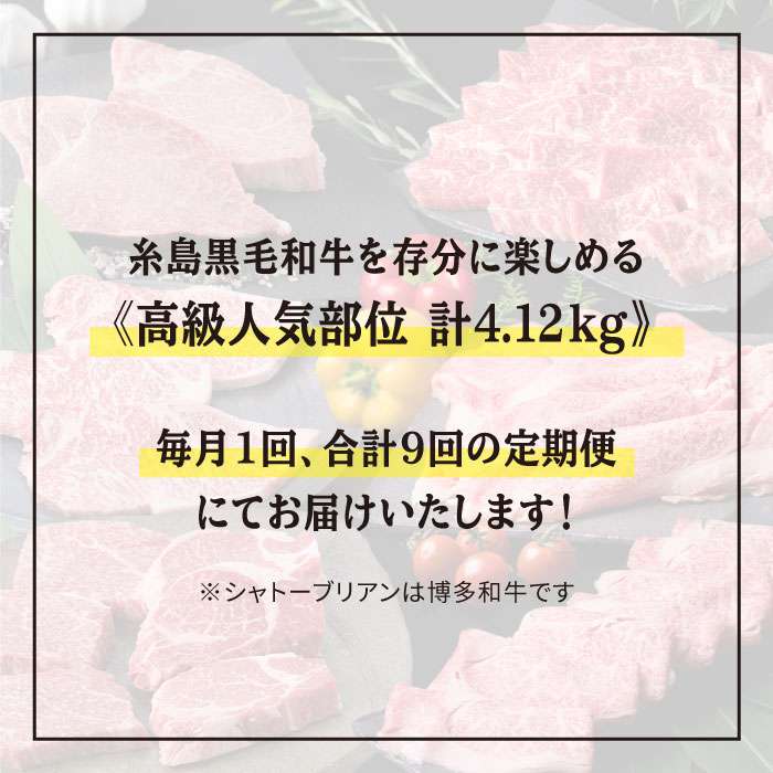 【ふるさと納税】【全9回定期便】糸島黒毛和牛 食べ比べ (ヒレ/ランプ/サーロイン/ロース/カルビ/バラ/シャトーブリアン/モモ) 計4.12kg 《糸島》【糸島ミートデリ工房】 [ACA109] 208000円 200000円 20万 黒毛和牛 冷凍配送