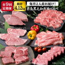 1位! 口コミ数「9件」評価「4.89」【全9回定期便】糸島黒毛和牛 食べ比べ (ヒレ/ランプ/サーロイン/ロース/カルビ/バラ/シャトーブリアン/モモ) 計4.12kg 《糸島》･･･ 