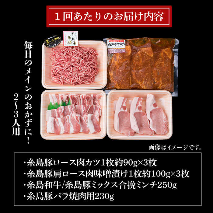 【ふるさと納税】【全3回定期便】糸島豚 精肉 セット 1,050g （ 2～3人前 ・ 4種 ） 糸島市 / 糸島ミートデリ工房 [ACA201] 29000円