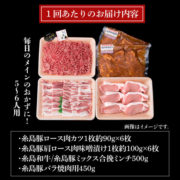 【ふるさと納税】【全3回定期便】豚肉 精肉 セット 2,090g （5～6人前・4種） 糸島市 / 糸島ミートデリ工房 [ACA205] 糸島豚 49000円