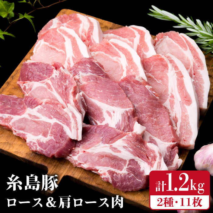 【ふるさと納税】糸島豚 ロース肉 6枚 肩ロース肉 5枚 計
