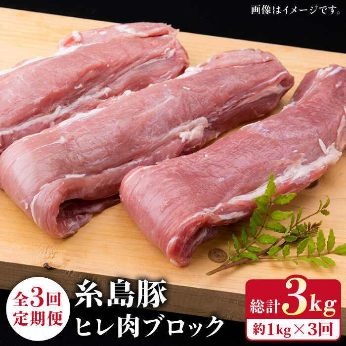 【ふるさと納税】【全3回定期便】糸島豚 ヒレ肉 ブロック 1