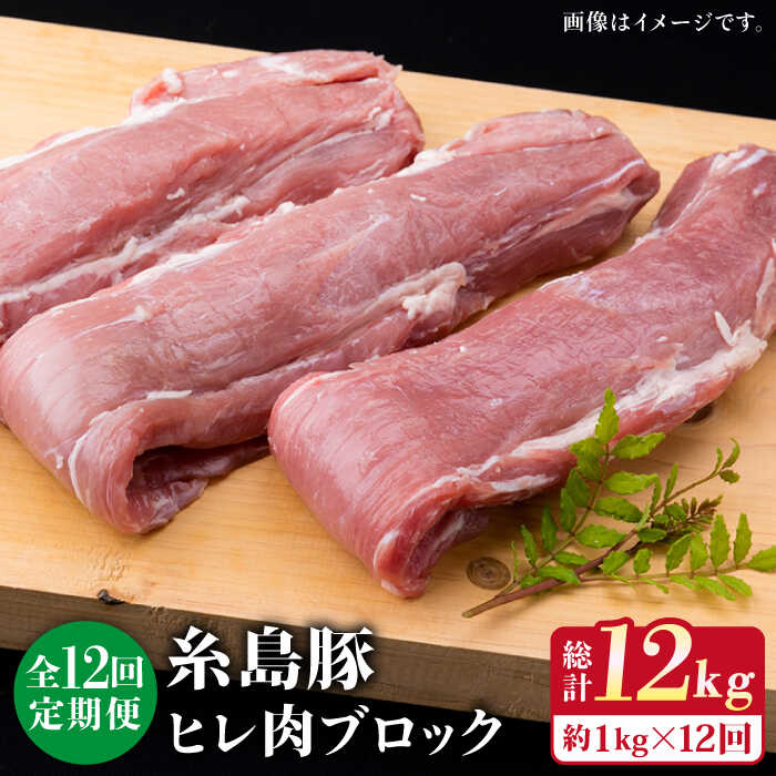 【ふるさと納税】【全12回定期便】糸島豚 ヒレ肉 ブロック 