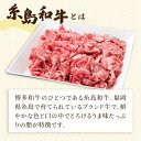 【ふるさと納税】【全6回定期便】糸島和牛 小間切れ 500g ＆ 糸島和牛 糸島豚 合挽 ミンチ 500g 計1kg 糸島市 / 糸島ミートデリ工房 [ACA238] 58000円 黒毛和牛 冷凍配送 3