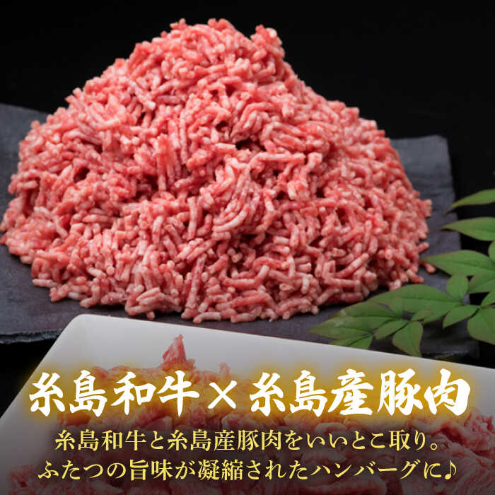 【ふるさと納税】【全3回定期便】糸島和牛 糸島産豚肉 合挽ミンチ 500g×2p 計1kg 糸島ミートデリ工房 [ACA257]3万1千円31000円 f402303-itoshima-10003994 福岡県糸島市 サンプル画像3