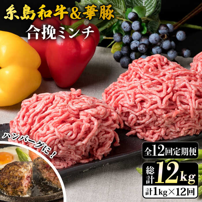 [全12回定期便]糸島和牛 糸島豚 合挽ミンチ 500g×2p 計1kg 糸島ミートデリ工房 [ACA259] 115000円 100000円 10万