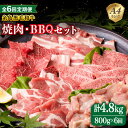 【ふるさと納税】【全6回定期便】焼肉・バーベキュー セット 計800g 牛モモ 牛バラ 豚バラ 豚肩ロース 鶏もも肉 糸島市 / 糸島ミートデリ工房 [ACA273] 106000円 100000円 10万