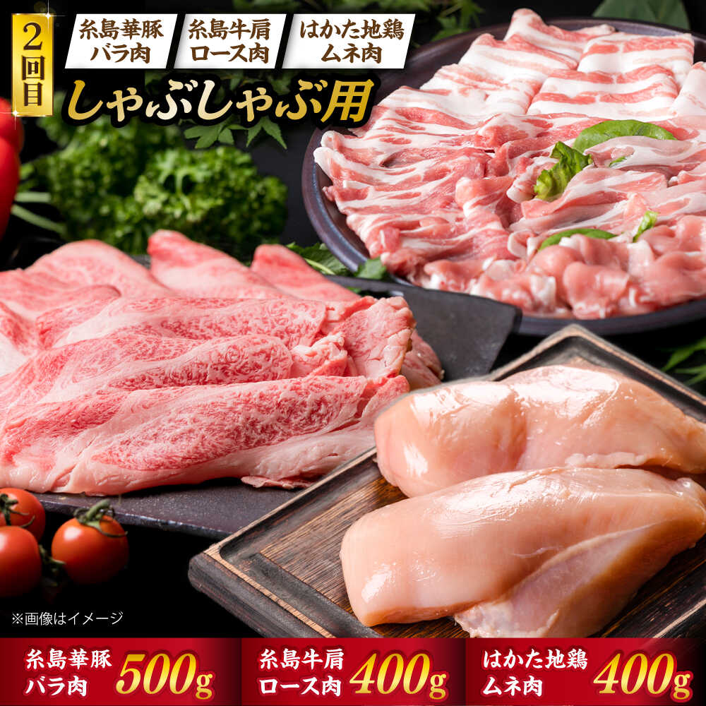 �ڤդ뤵��Ǽ�ǡۡ���5������ء������������������ 4���� A4��� ��������µ� ������� ��¿�Ϥɤ� ���å� (����ȡ��֥ꥢ��/��������/������/�ڥХ�/�ܤ��) ��4.1kg �Ի���աڻ���ߡ��ȥǥ깩˼�� [ACA083] 300000�� 30����