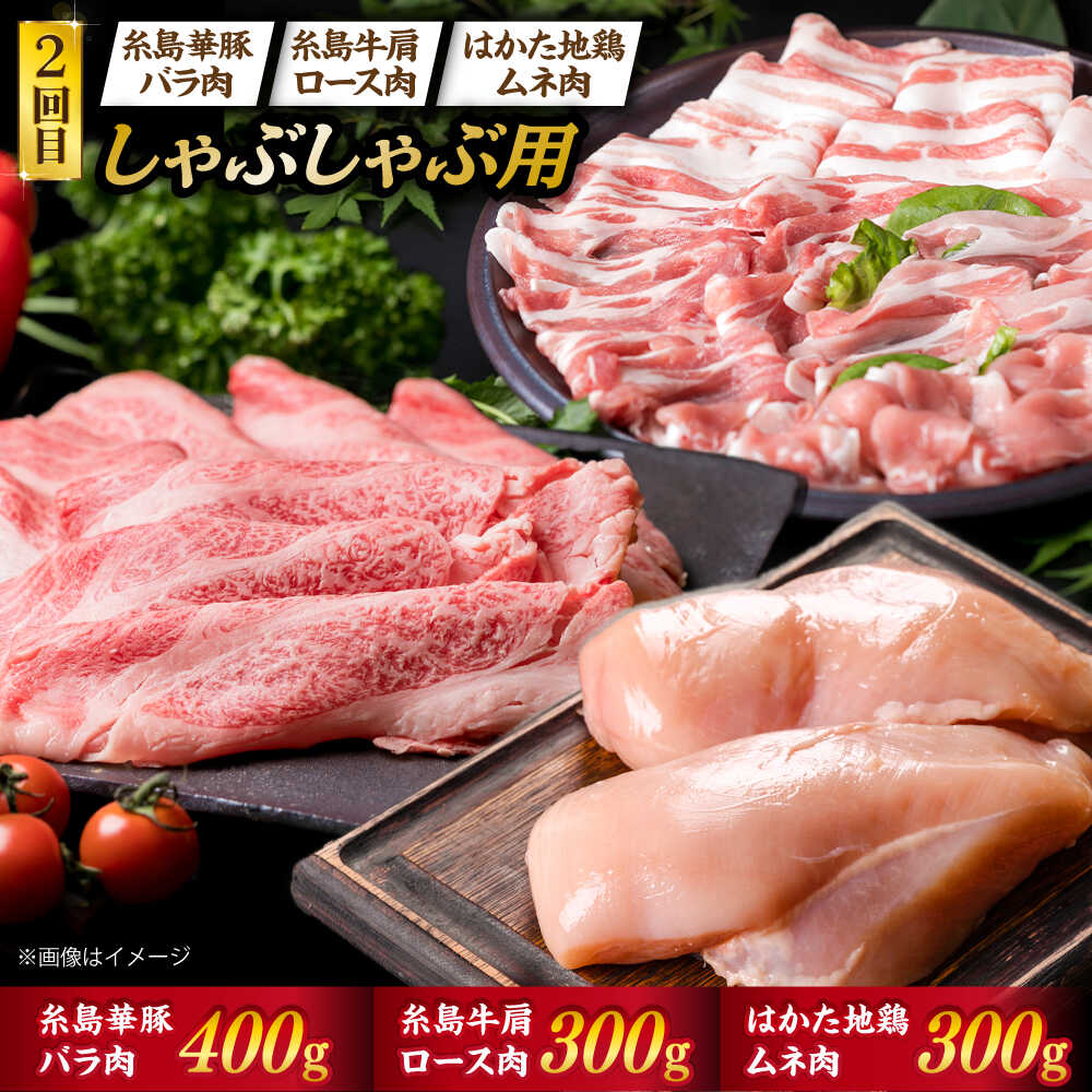 �ڤդ뤵��Ǽ�ǡۡ���5������ء������������������ 3���� A4��� ��������µ� ������� ��¿�Ϥɤ� ���å� (����ȡ��֥ꥢ��/��������/������/�ڥХ�/�ܤ��) ��3.1kg ���� / ����ߡ��ȥǥ깩˼ [ACA084] 200000�� 20����