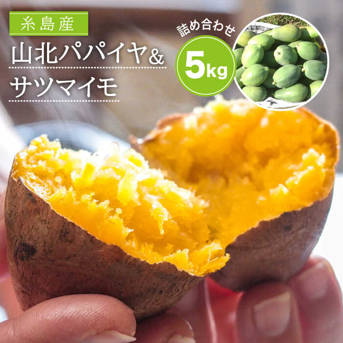【ふるさと納税】[冬季数量限定]山北パパイヤと安納蜜芋のセット【山北農園】/サツマイモ/焼き芋/天ぷら/糸島野菜/やきいも/スイートポテト/パパイア/スーパーフード/山北マサト/WILDMART [ACH002]
