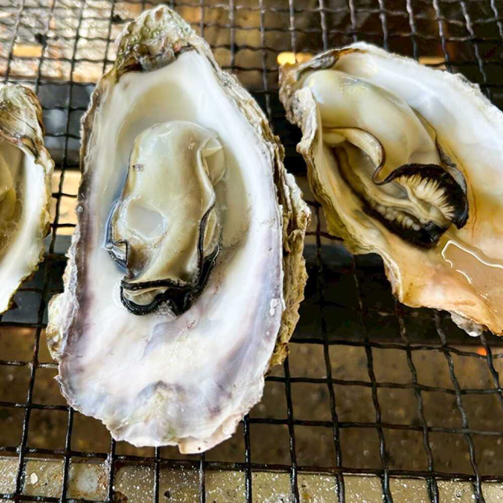【ふるさと納税】糸島カキ 蒸し牡蠣 Lサイズ・Sサイズ セット 糸島市 / カキ小屋 住吉丸[ACJ017] 13000 1万3千円 f402303-itoshima-10006222 福岡県糸島市 サンプル画像3