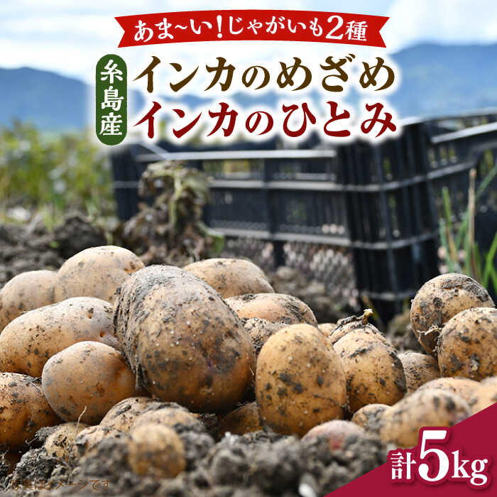 糸島育ちのジャガイモ 2種食べ比べ インカのめざめ/インカのひとみ 各2.5kg・計5kg 【先行予約・2024年7月より順次発送】 糸島市 / 糸島ボンテール農園[ACO013]1万6千円16000円