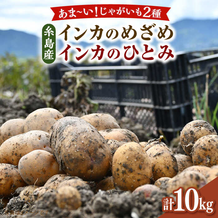 糸島育ちのジャガイモ 2種食べ比べ インカのめざめ インカのひとみ 各5kg・計10kg 【先行予約・2024年7月より順次発送】 糸島市 / 糸島ボンテール農園[ACO014]2万7千円27000円