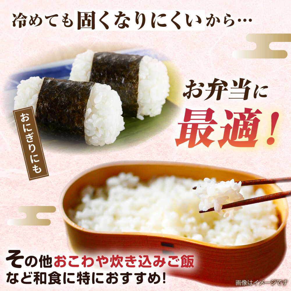 【ふるさと納税】【3回定期便】ミルキークイーン5kg 玄米・精米専門店 新飼宗一郎商店 [ADE003] 常温