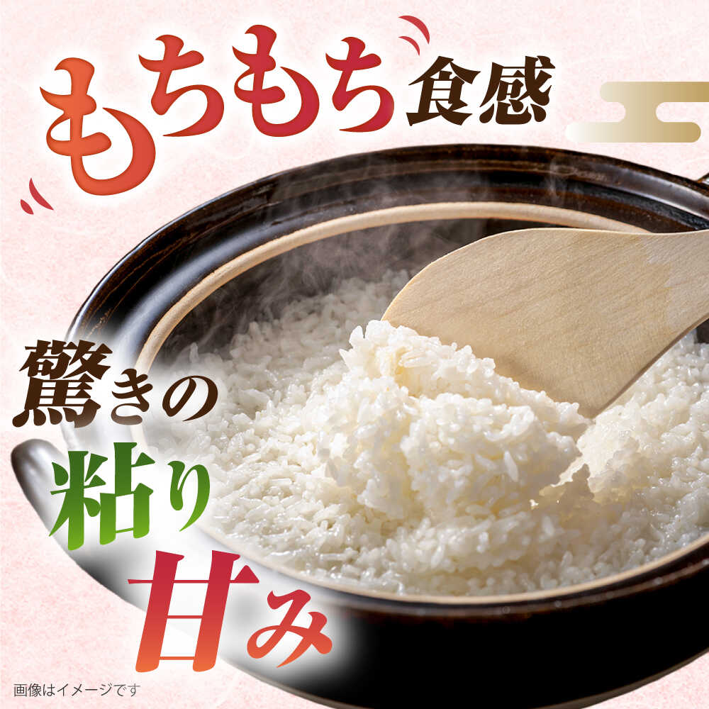 【ふるさと納税】【全9回定期便】ミルキークイーン 5kg 糸島市 / 玄米・精米専門店...