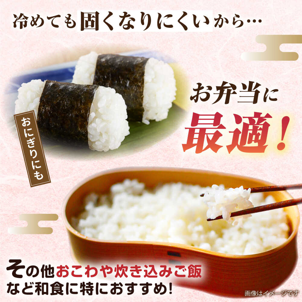 【ふるさと納税】【全9回定期便】ミルキークイーン 5kg 糸島市 / 玄米・精米専門店...