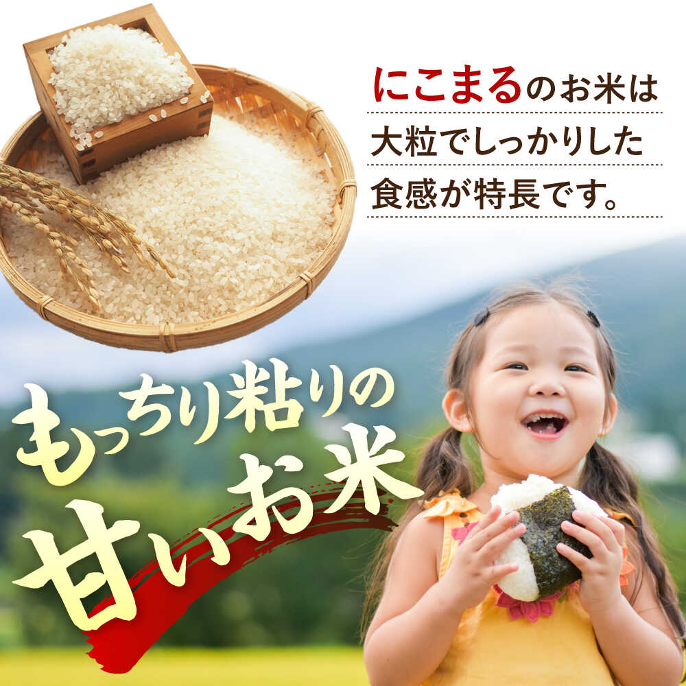 【ふるさと納税】【全3回定期便】【精米方法が選べる！】にこまる 5kg（5kg×1袋） 糸島市 / 玄米・精米専門店 新飼宗一郎商店[ADE022] 白米 玄米 常温4万円40000円