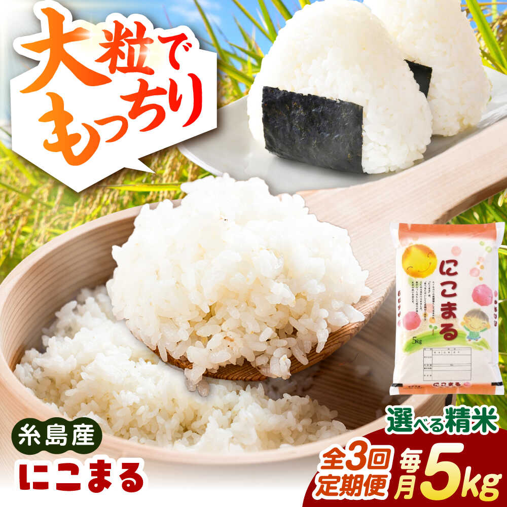 [全3回定期便][精米方法が選べる!]にこまる 5kg(5kg×1袋) 糸島市 / 玄米・精米専門店 新飼宗一郎商店[ADE022] 白米 玄米 常温4万円40000円