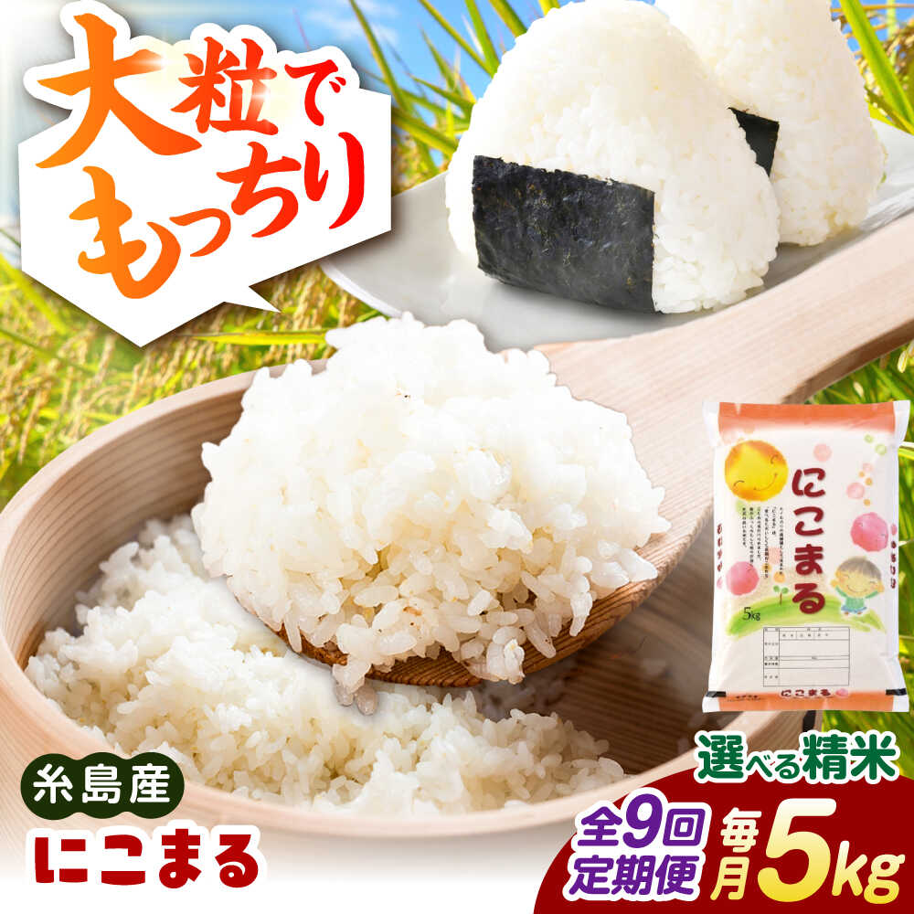 [全9回定期便][精米方法が選べる!]にこまる 5kg(5kg×1袋) 糸島市 / 玄米・精米専門店 新飼宗一郎商店[ADE024] 白米 玄米 常温10万円119000円