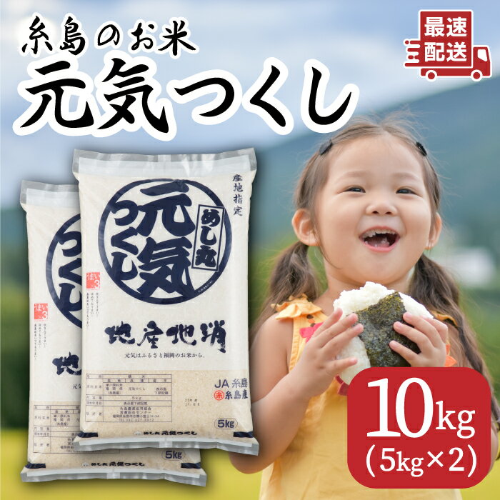 糸島のお米 元気つくし 10kg ( 5kg×2 ) 糸島市 / JA糸島産直市場 伊都菜彩 [AED018] 米 お米 白米 精米 16000円 常温