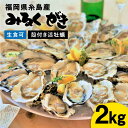 【ふるさと納税】みるくがき2kg（25個前後）◆生食可 から付き 活牡蠣 ≪糸島≫【豊久丸】ブランド/カキ/牡蛎 AEJ004 11000円