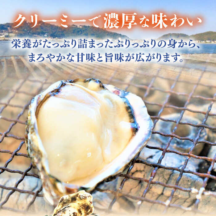 【ふるさと納税】みるくがき 3kg ◆生食可 から付き 活牡蠣 ≪糸島≫【豊久丸】ブランド/カキ/牡蛎[AEJ005] 15000円 1万5千円