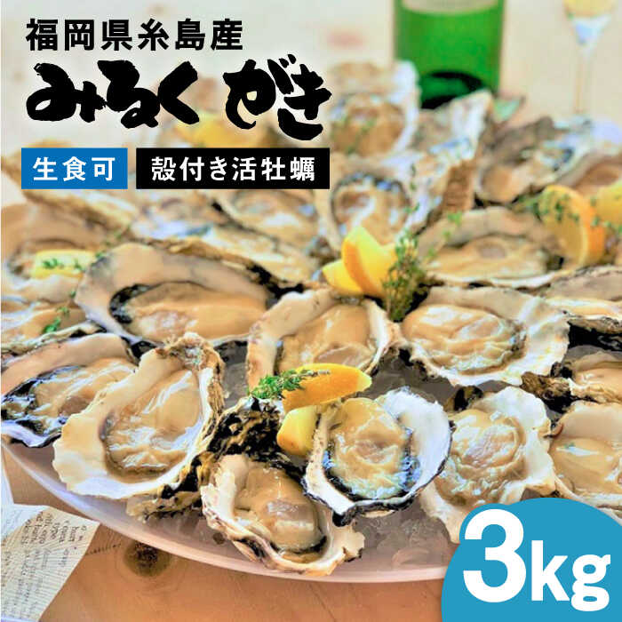 【ふるさと納税】みるくがき 3kg ◆生食可 から付き 活牡蠣 ≪糸島≫【豊久丸】ブランド/カキ/牡蛎[AEJ005] 15000円 1万5千円