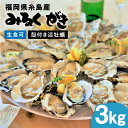 みるくがき 3kg ◆生食可 から付き 活牡蠣 ≪糸島≫【豊久丸】ブランド/カキ/牡蛎[AEJ005] 15000円 1万5千円