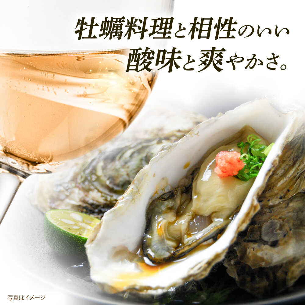 【ふるさと納税】【糸島マスエワイナリ】 牡蠣シュワ 2本 糸島市 / いとしのいとしま[AEP003] ワイン 微発泡 酒 18000円 1万8千円