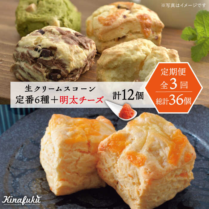 【ふるさと納税】【全3回定期便】【ご自宅用】定番スコーン 6種・明太チーズスコーン 6個 計12個セット《糸島》【キナフク】 [AFA024] 51000円 5万円