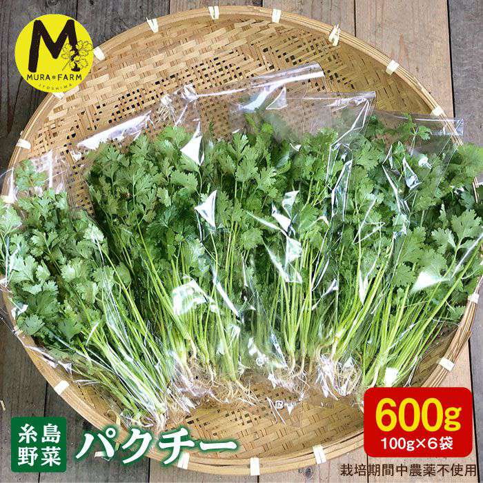 【ふるさと納税】【先行予約販売】糸島産 パクチー 600g(100g×6袋) 糸島市 / MURA FARM [AFD001] 10000..