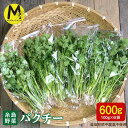 パクチー 国産 エスニック アジアン オーガニック野菜【先行予約販売】 食卓にちょっとした アクセントを。 糸島の新鮮パクチー 糸島市の自然豊かな長糸地区でパクチーを主軸に生産してますMURA FARMです。 魚介類中心の土作りを心がけてますので、ミネラルたっぷりのパクチーです。栽培期間中、化成肥料、化学農薬、除草剤は使用していません。パクチーの食べ方はサラダ以外にもあるの？とよく聞かれますが、以外と色々な食べ方があるんです！エスニックなイメージが強いですが、細かく刻んだパクチーをポテトサラダに混ぜたり、鍋に入れてポン酢で食べたり、炒め物（イカとの相性抜群◎）に入れたりと生でも火を通しても美味しく食べられます。ちょっと1品ほしいなと言うときにはパクチーの胡麻和えを是非試してみてください！！少し甘めの味付けにするととっても美味しいです。ホームパーティーや来客時には見た目が少し華やかな生ハムパクチーはいかがですか？パクチーを長さを揃えて切り、生ハムで巻いてオリーブオイルをかけるだけ。お好みでブラックペッパーやコリアンダーシード、刻んだナッツを散りばめるのもオススメです。その他もたくさんのパクチー料理があるので、是非MURAFARMのパクチーをご賞味ください。 商品説明 名称パクチー内容量100g×6袋賞味期限お早めにお召し上がりください。製造者MURA FARM配送方法冷蔵配送時期10月以降順次発送・ふるさと納税よくある質問はこちら ・寄附申込みのキャンセル、返礼品の変更・返品はできません。あらかじめご了承ください。 パクチー 国産 エスニック アジアン オーガニック野菜