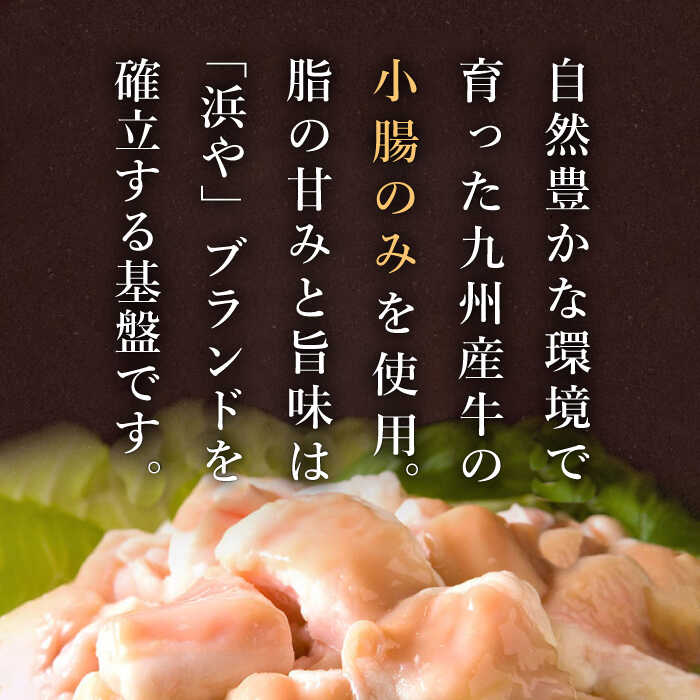 【ふるさと納税】【全6回定期便】【本場博多で歴史のある 博多 浜や】 国産 ・ 無添加 もつ鍋 セット （約4人前） 旨辛みそ味 糸島市 / 博多 浜や [AFF022] 151000円 100000円 10万