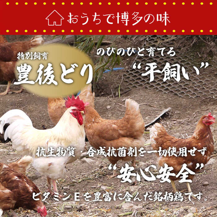 【ふるさと納税】【お中元対象】博多 水炊きセット (約2人前) 糸島市 / 博多 浜や ...