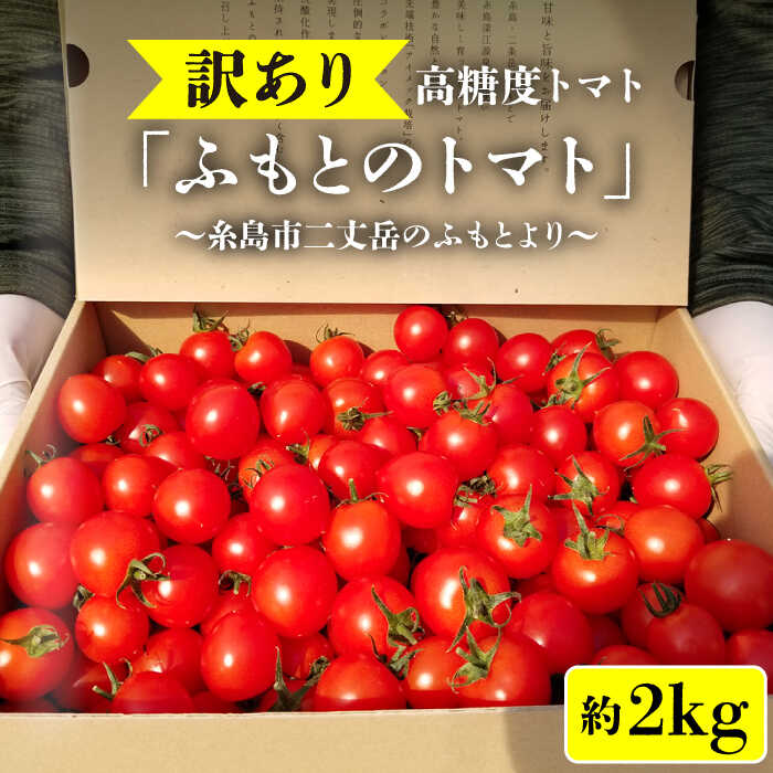 【ふるさと納税】【先行予約】【訳あり】【ふもとのトマト】 約2kg ( 専用箱入り ) 糸島市 / 株式会社 さいかい [AFL003] 13000円 常温