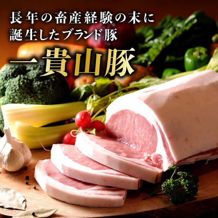 【ふるさと納税】一貴山豚 ロースとんかつ・トンテキ用 計480g(120g×4枚) 糸島市 / いきさん牧場 豚肉 冷凍[AGB030]