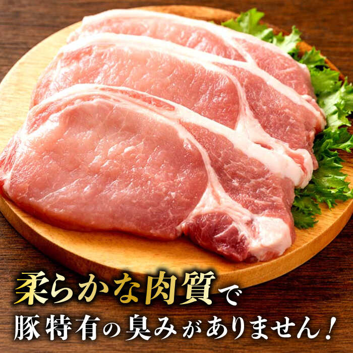 【送料無料】 贅沢フリーズドライとふかひれスープ FS-40W 食品 出産内祝い 結婚内祝い 入学内祝い 香典返し お返し プレゼント 父の日 お中元