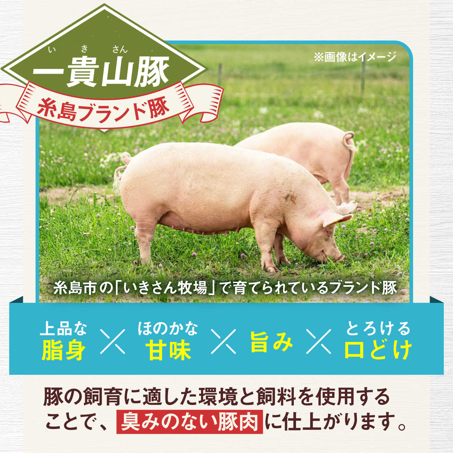 【ふるさと納税】一貴山豚 焼肉用バラ肉 計1kg(250g×4p) 糸島市 / いきさん牧場 豚肉 [AGB035] 14000円 1万4千円