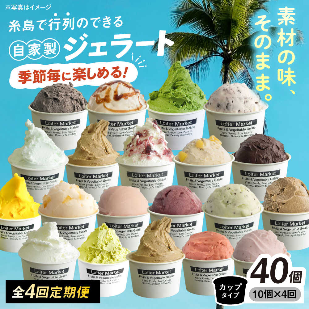【全4回定期便】季節のジェラートカップ定期便 10個×4回 1年間 計40個 糸島市 / Loiter Market lABO ロイターマーケット[AGD039]8万2千円82000円