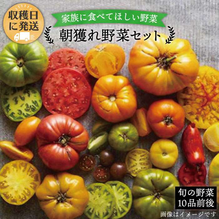 【ふるさと納税】朝獲れ！糸島野菜セット(10品前後) オーガニックナガミツファーム [AGE003] 11000円