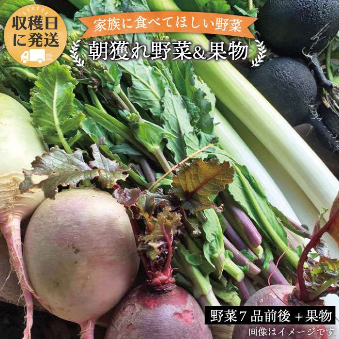 28位! 口コミ数「2件」評価「3.5」朝獲れ！野菜7品(前後)セット＋果物 オーガニックナガミツファーム [AGE004] 10000円 1万円